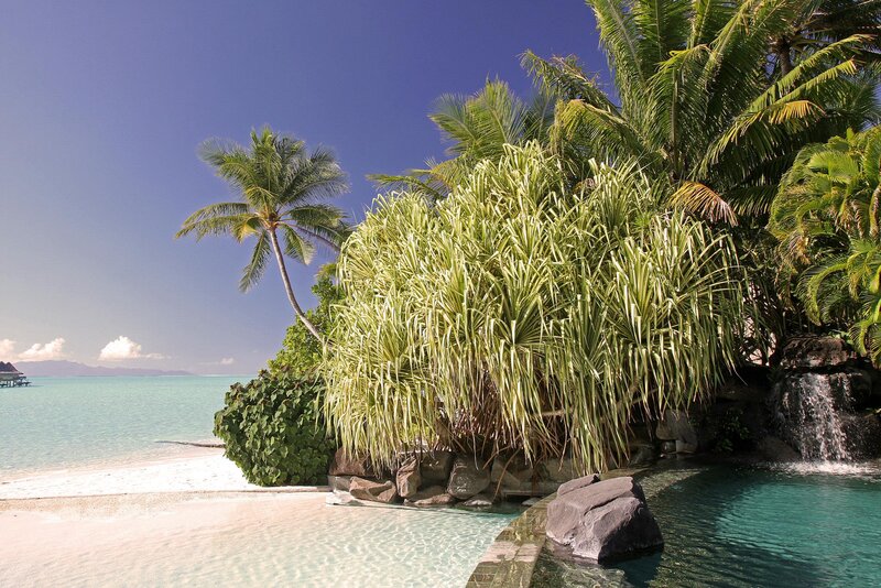 Tropical Beach Resort — Blue, Serene, Afternoon, Photograph, Palm Trees, Pool, Waterfall