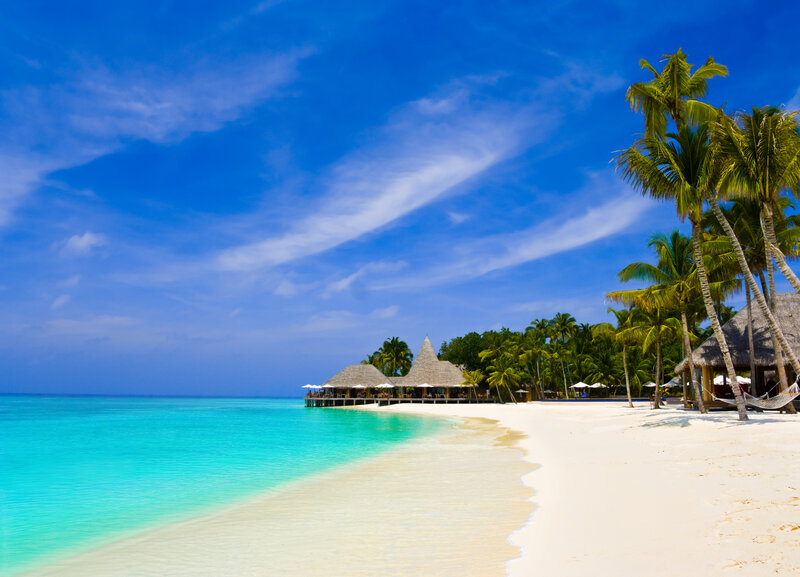 Tropical Beach Resort — Blue, Serene, Afternoon, Photograph, Palm Trees, Thatched Huts, Ocean