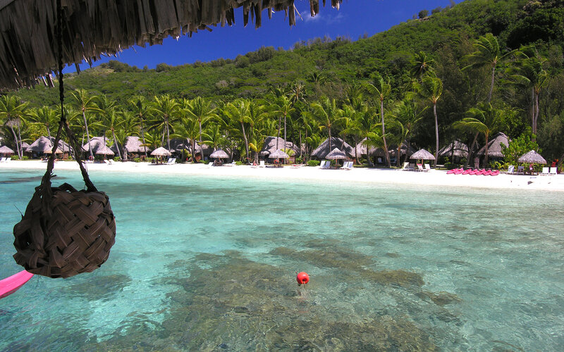 Tropical Beach Resort — Blue, Serene, Afternoon, Photograph, Palm Trees, Thatched Huts