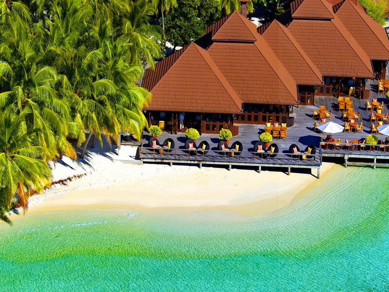 Tropical Beach Resort — Green