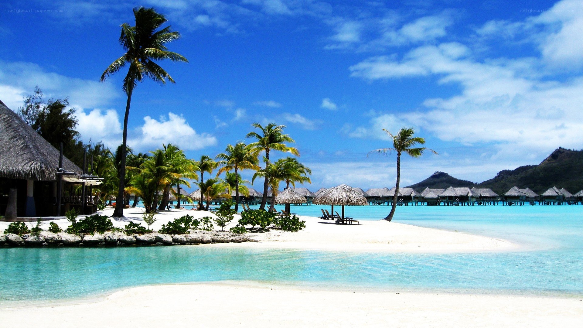 tropical beach resort paradise