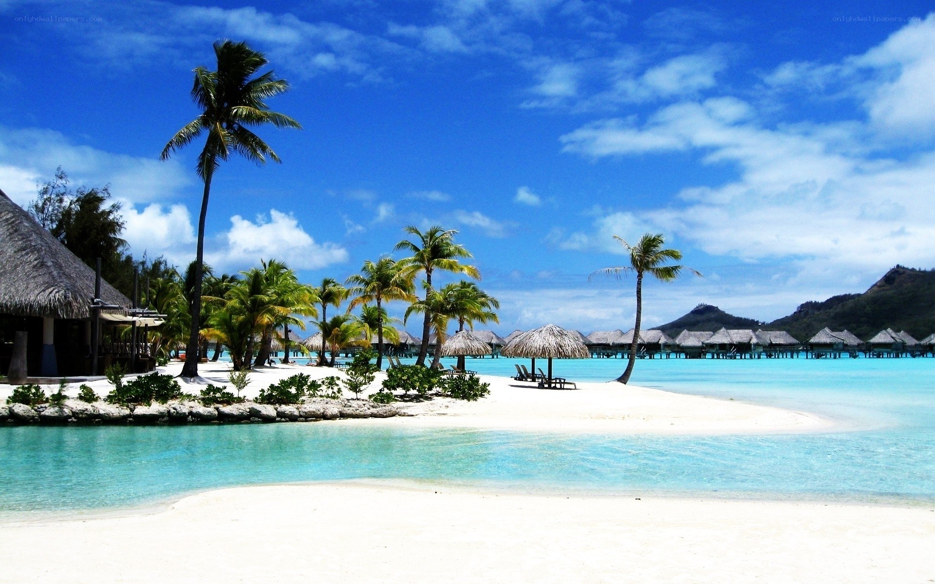 tropical beach resort paradise