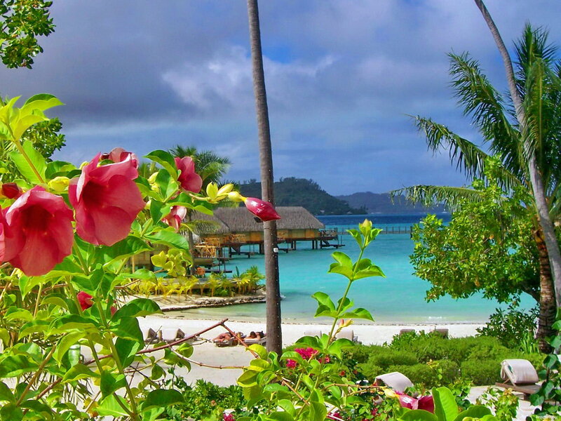 Tropical Beach Resort — Pink