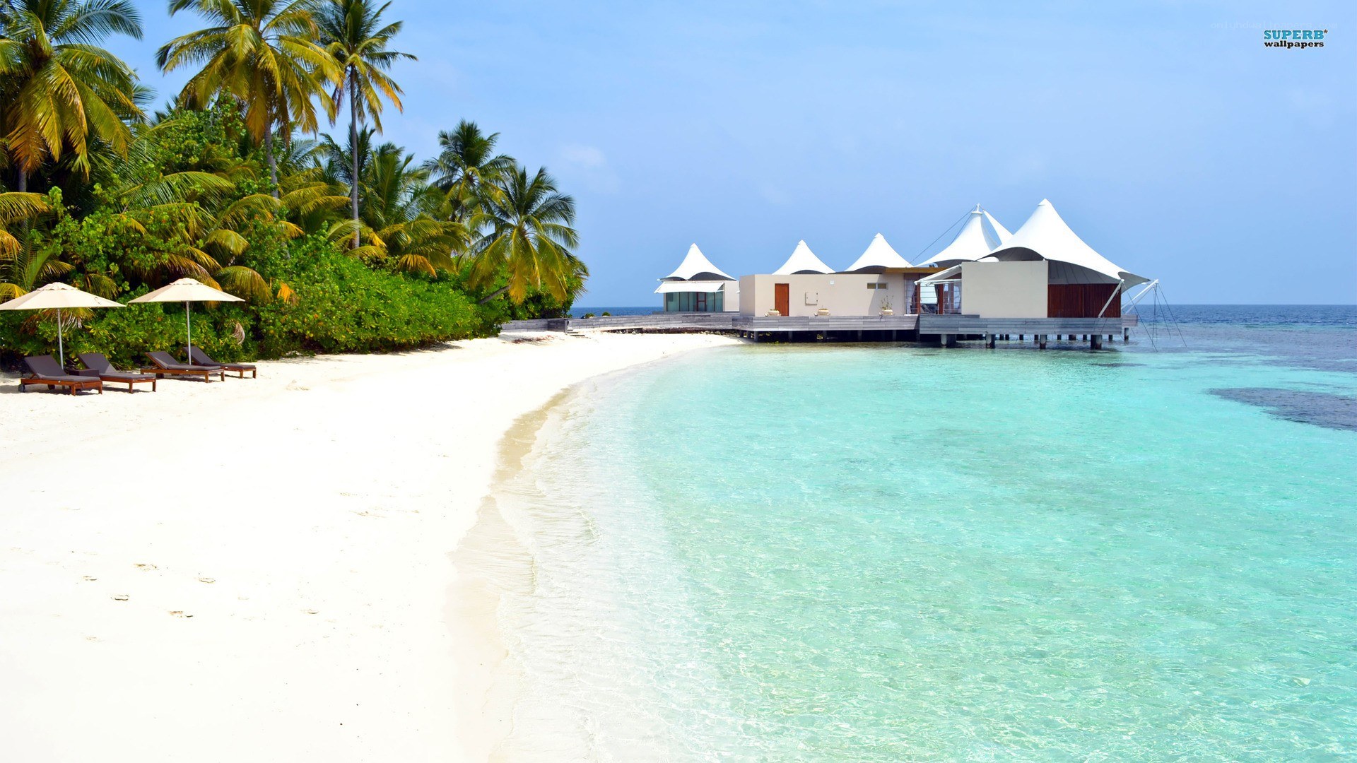 tropical beach resort scene