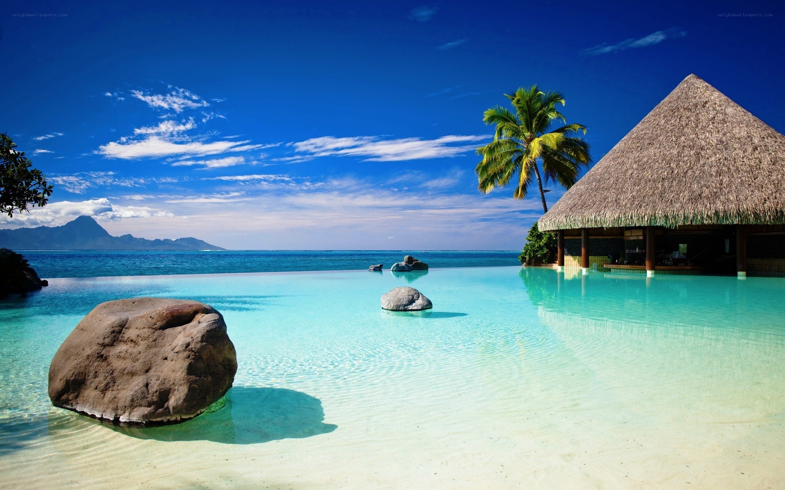 Tropical beach resort scene