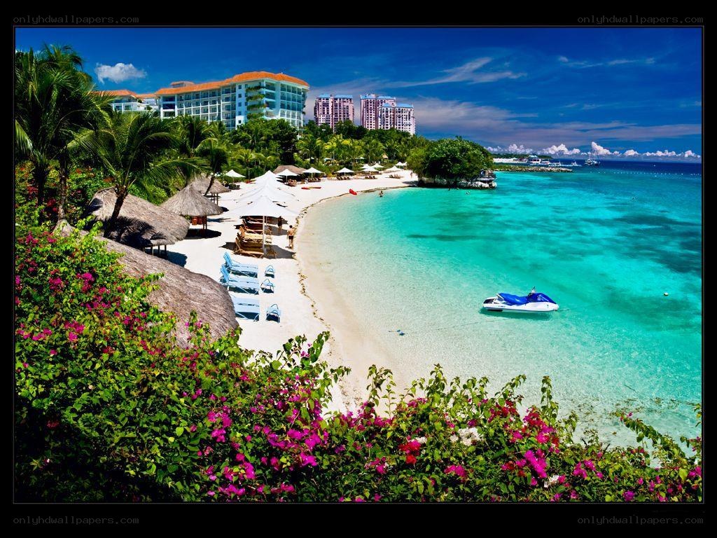 tropical beach resort scene