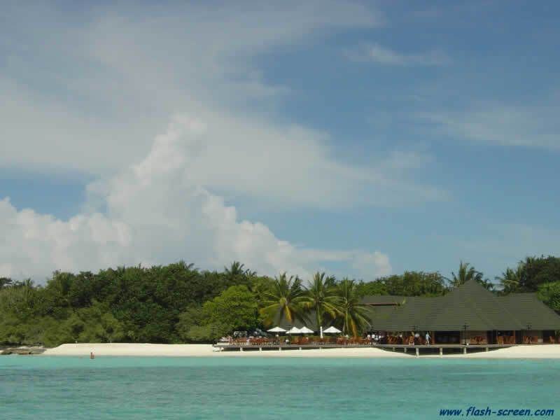 tropical beach resort scene