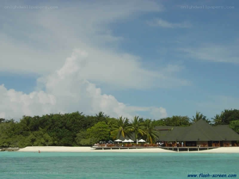 tropical beach resort scene