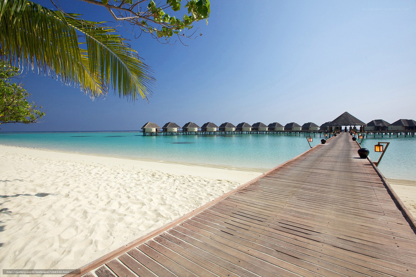 tropical beach resort scene