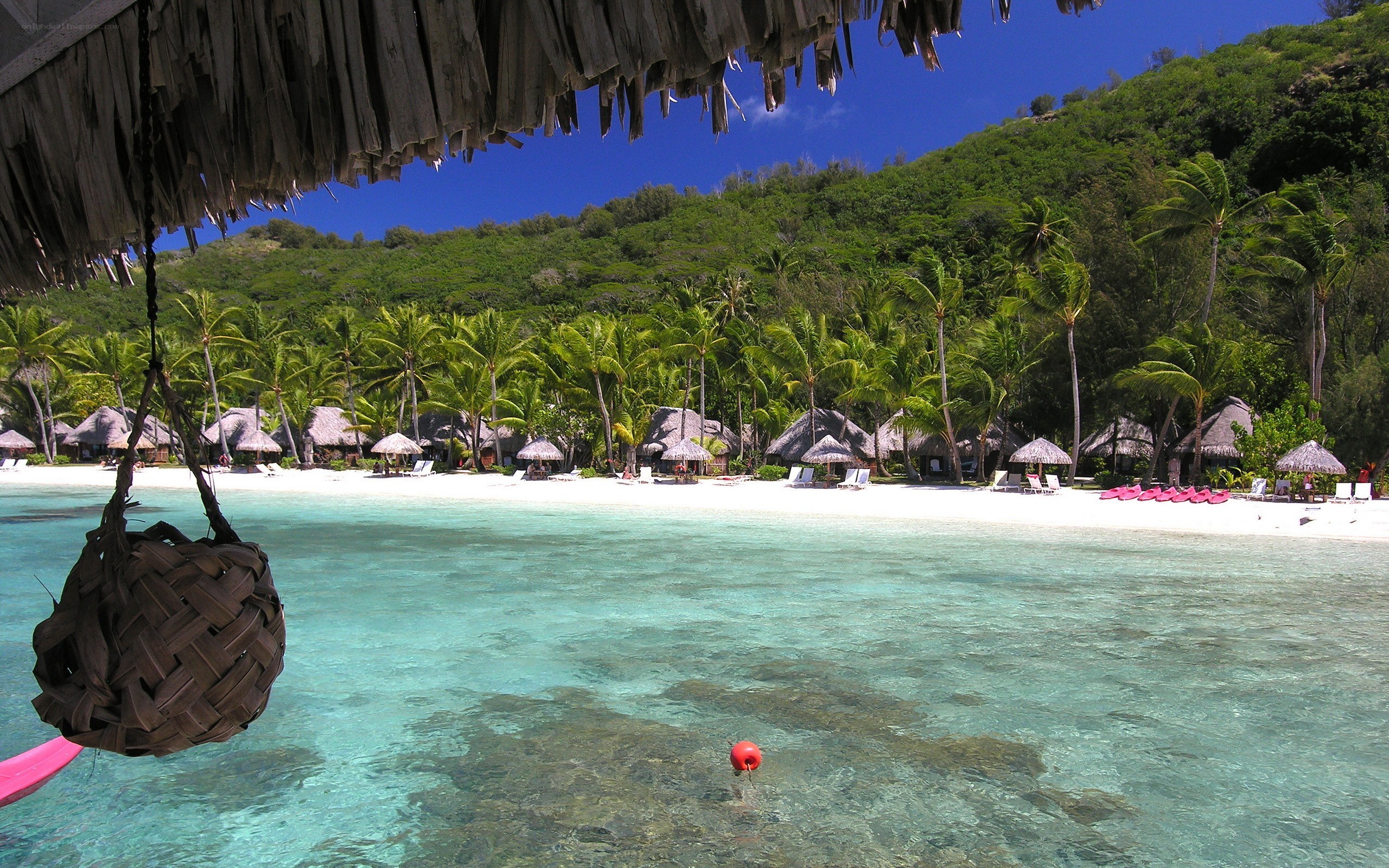 tropical beach resort scene