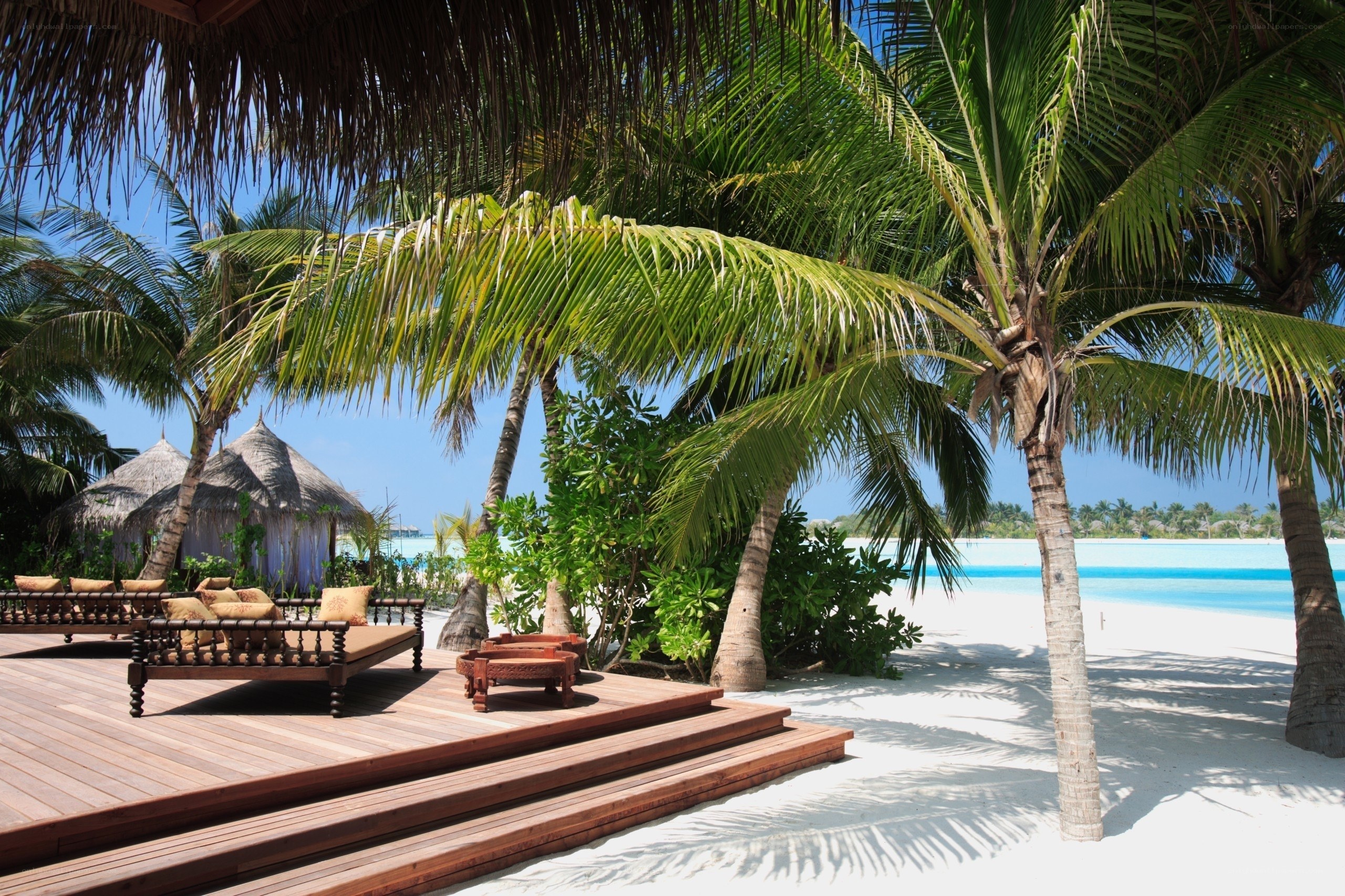 Tropical beach resort scene