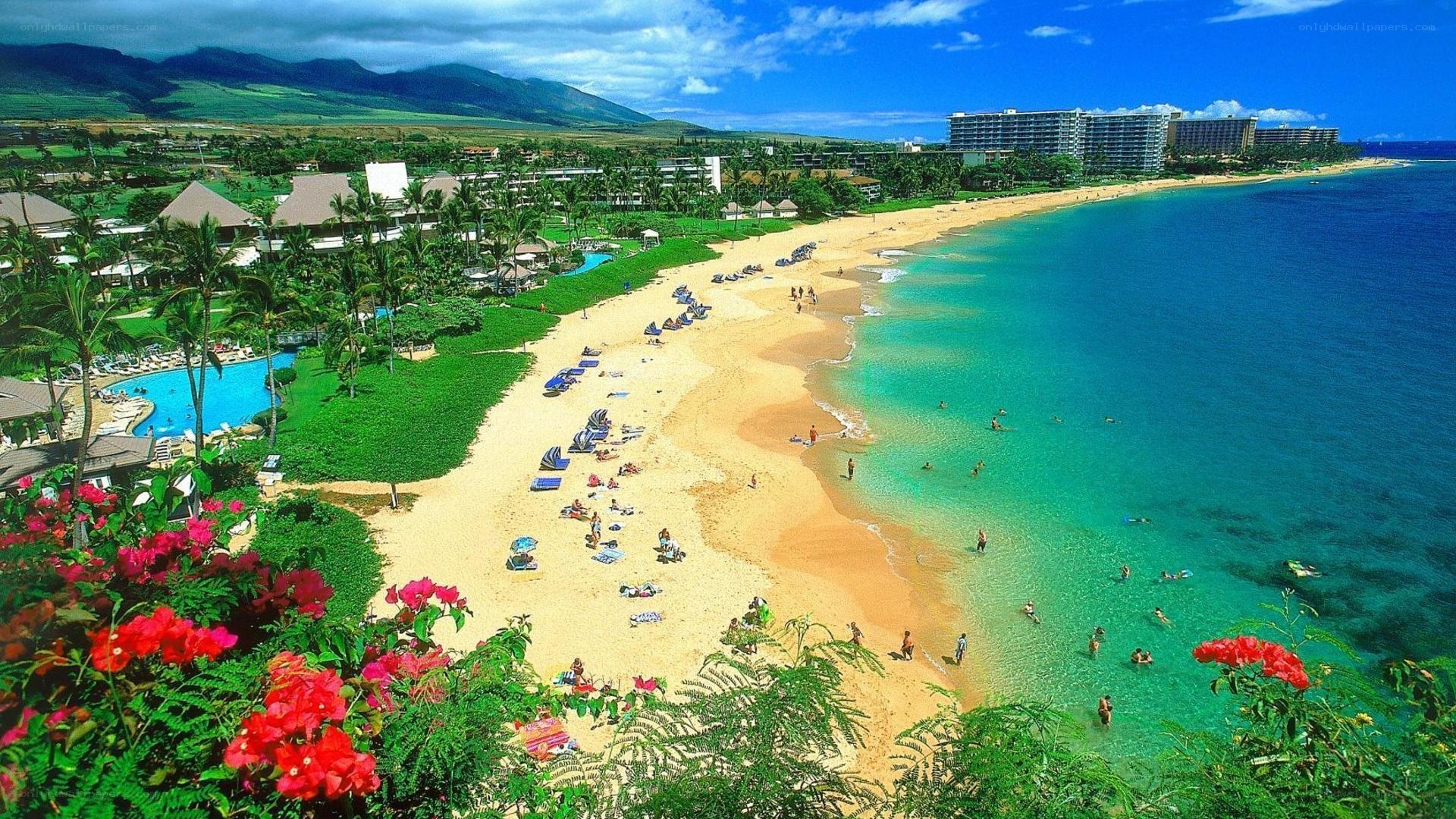 tropical beach resort with mountains