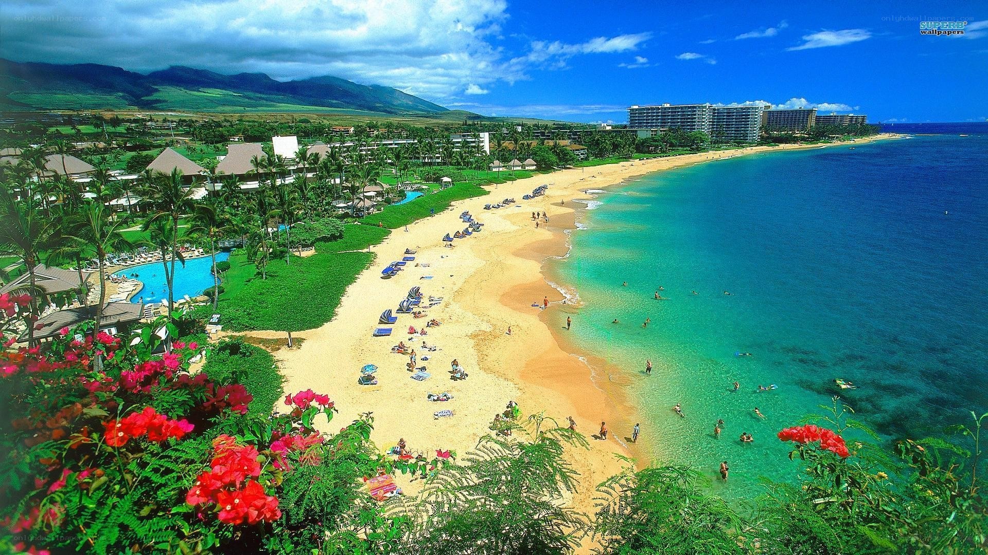 tropical beach resort with mountains