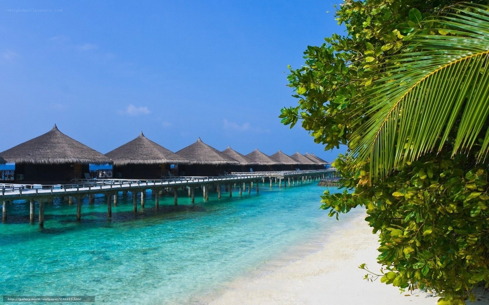 tropical beach resort with overwater bungalows