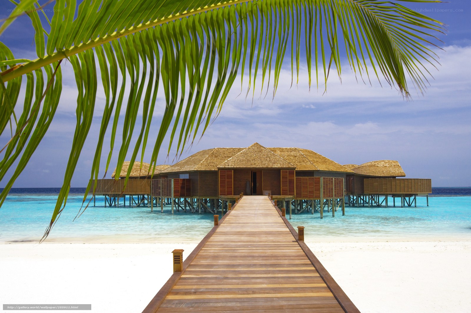 Tropical beach resort with overwater bungalows