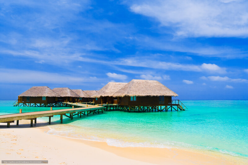 tropical beach resort with overwater bungalows