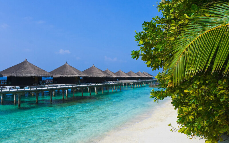 tropical beach resort with overwater bungalows