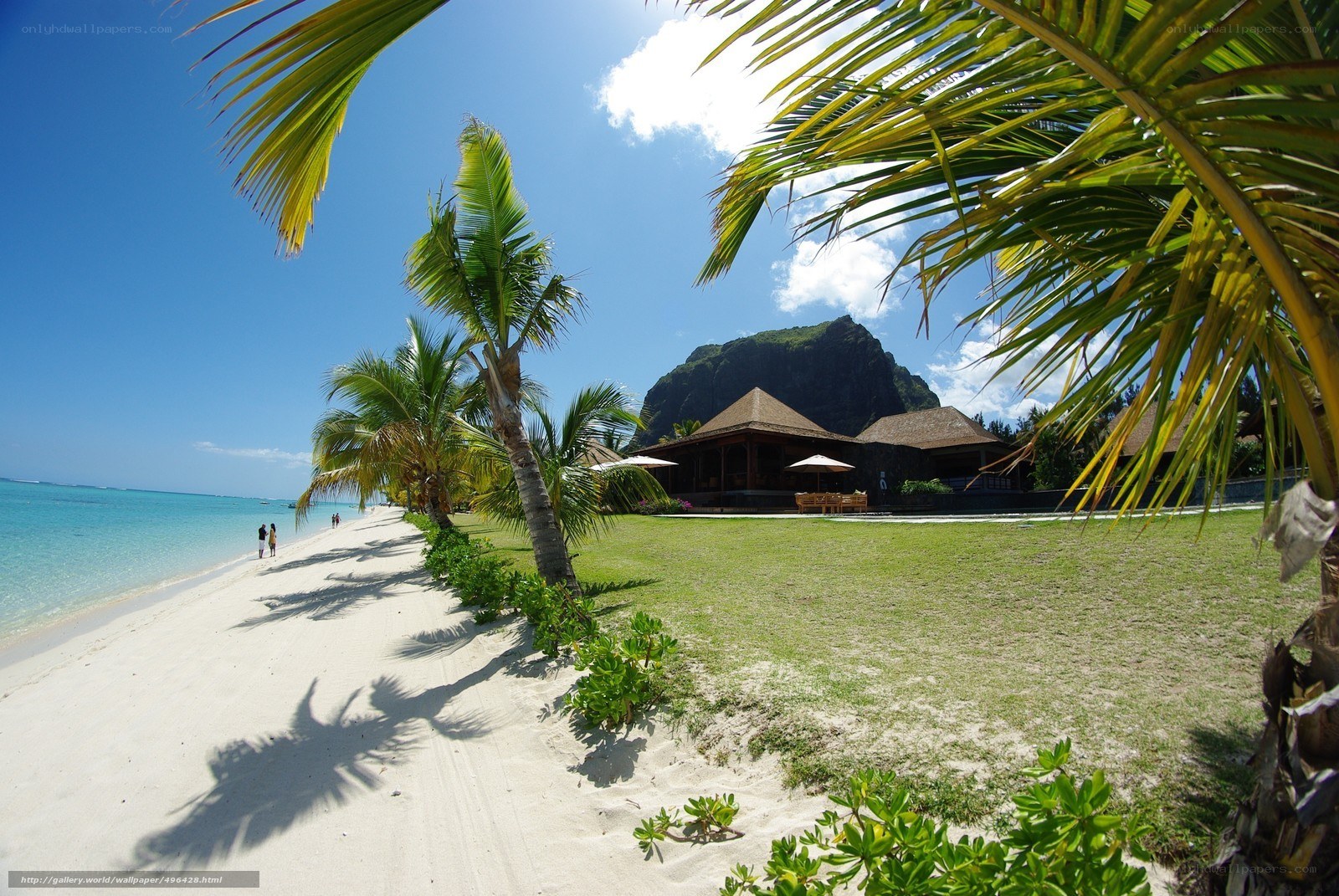 Tropical beach resort with palm trees