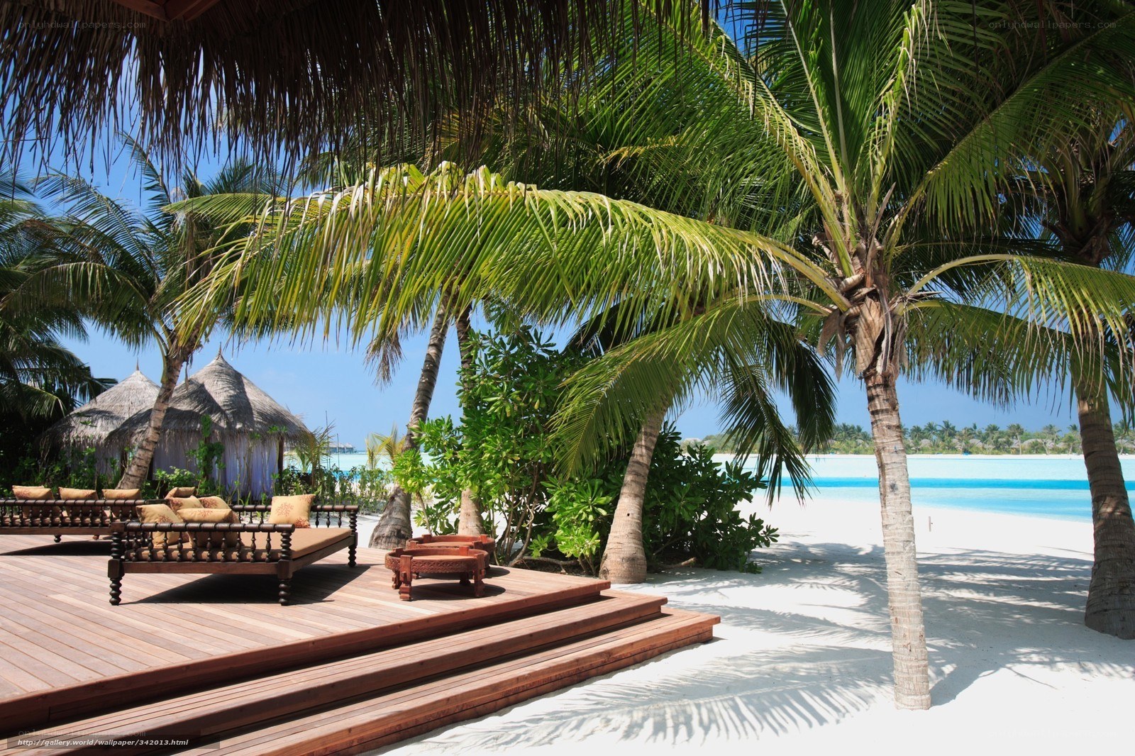 Tropical beach resort with palm trees