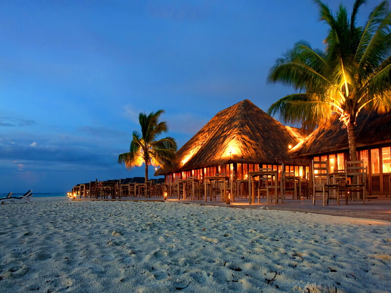 Tropical Beach Restaurant