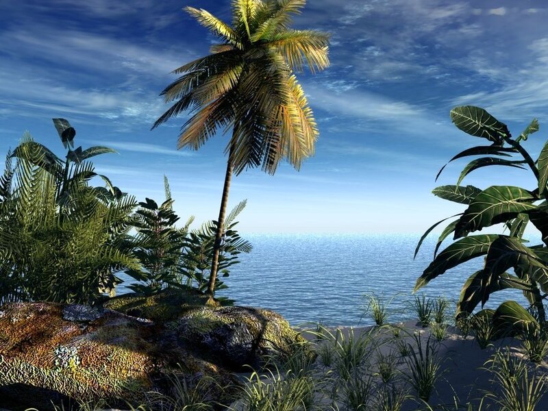 Tropical Beach Scene — Blue, Serene, Afternoon, 3d Render, Palm Tree