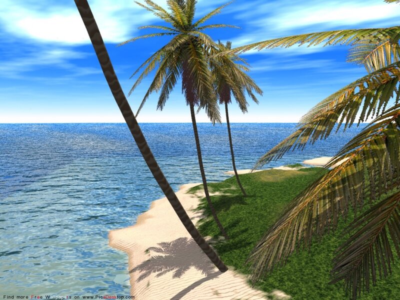 Tropical Beach Scene — Blue, Serene, Afternoon, 3d Render