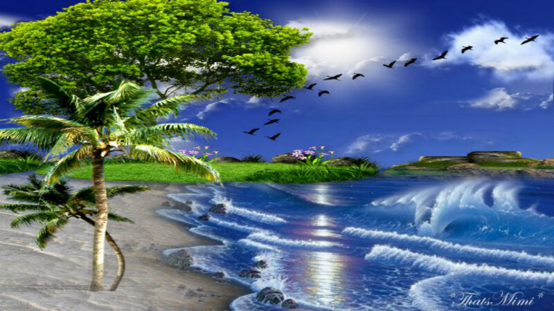 Tropical Beach Scene — Blue, Serene, Afternoon, Digital Art, Palm Tree, Birds