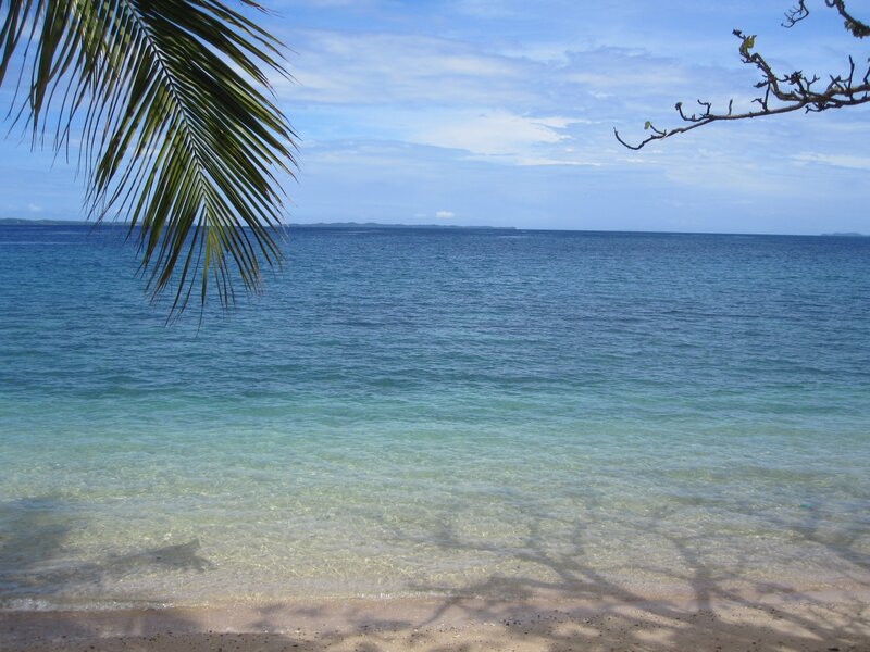 Tropical Beach Scene — Blue, Serene, Afternoon, Photograph, Palm Frond, Tree Branch