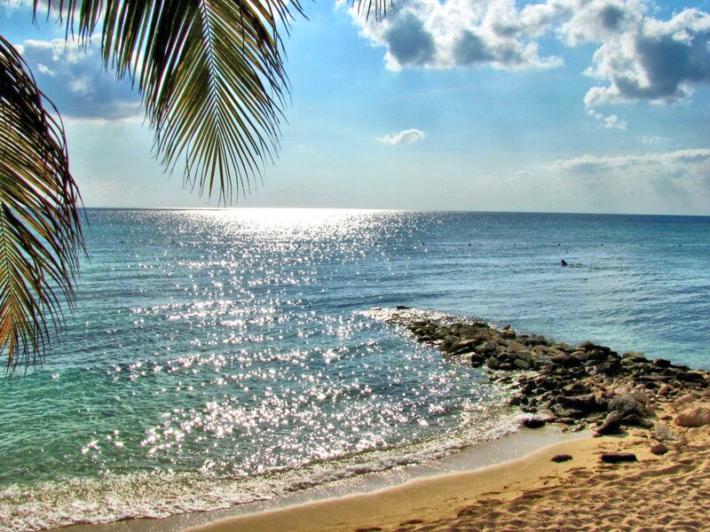 Tropical Beach Scene — Blue, Serene, Afternoon, Photograph, Palm Fronds