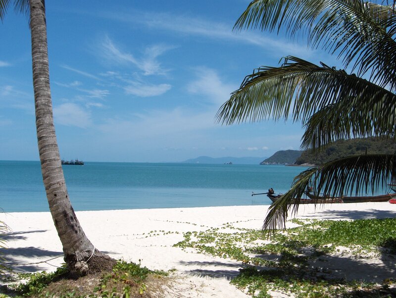 Tropical Beach Scene — Blue, Serene, Afternoon, Photograph, Palm Tree, Boat, Ocean