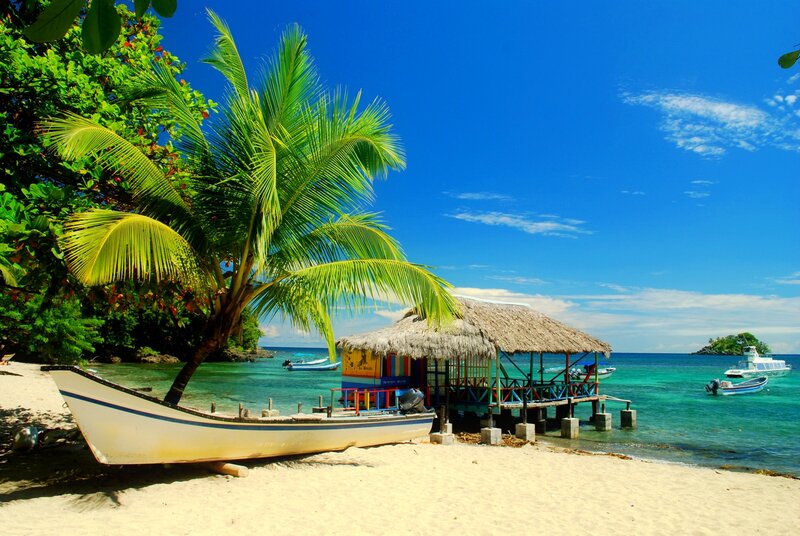 Tropical Beach Scene — Blue, Serene, Afternoon, Photograph, Palm Tree, Boat