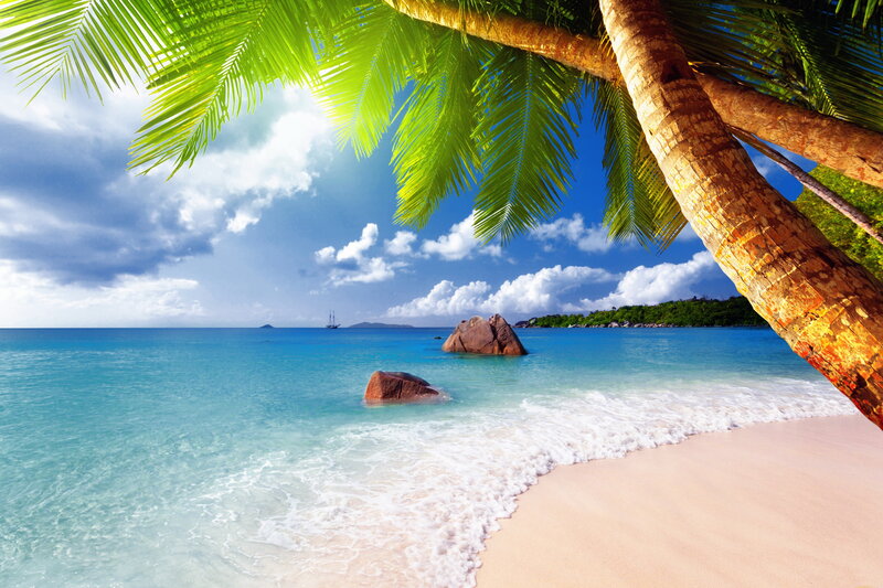 Tropical Beach Scene — Blue, Serene, Afternoon, Photograph, Palm Tree, Ocean, Sand, Rocks