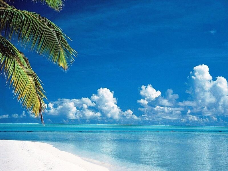 Tropical Beach Scene — Blue, Serene, Afternoon, Photograph, Palm Tree, Sand, Ocean, Clouds, White
