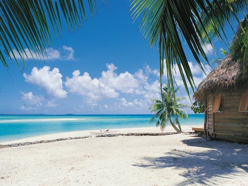 Tropical Beach Scene — Blue, Serene, Afternoon, Photograph, Palm Tree, Thatched Hut