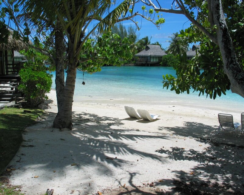 Tropical Beach Scene — Blue, Serene, Afternoon, Photograph, Palm Trees, Bungalows