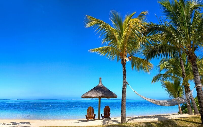Tropical Beach Scene — Blue, Serene, Afternoon, Photograph, Palm Trees, Hammock