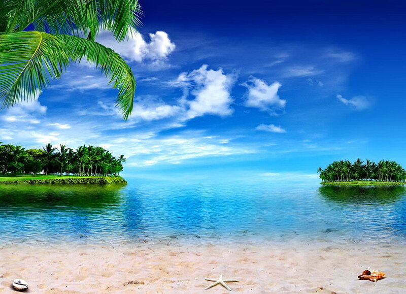 Tropical Beach Scene — Blue, Serene, Afternoon, Photograph, Palm Trees, Islands