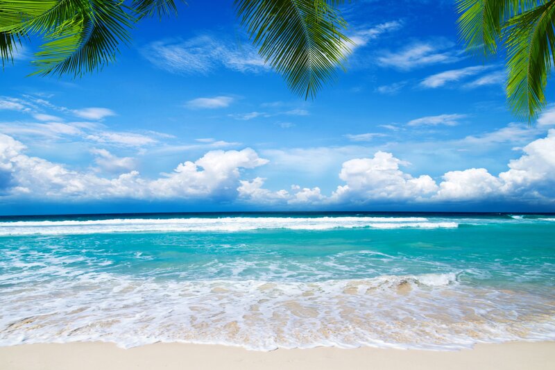 Tropical Beach Scene — Blue, Serene, Afternoon, Photograph, Palm Trees, Ocean, Sand, Clouds