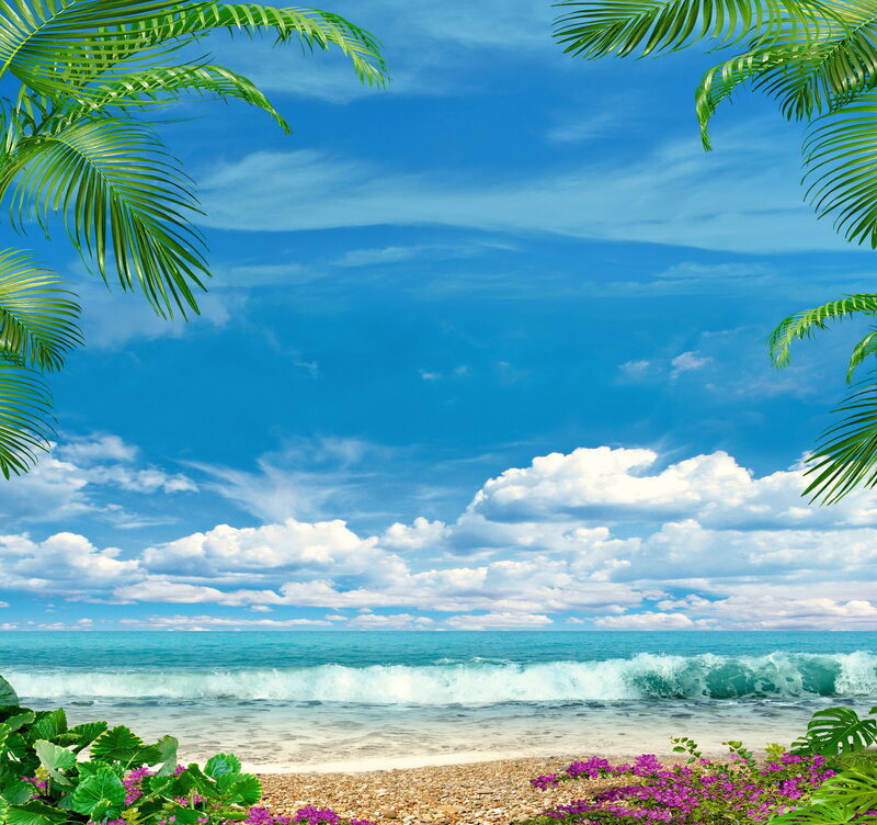 Tropical Beach Scene — Blue, Serene, Afternoon, Photograph, Palm Trees, Ocean Waves