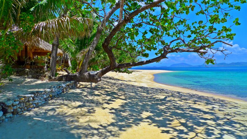 Tropical Beach Scene — Blue, Serene, Afternoon, Photograph, Palm Trees, Thatched Hut