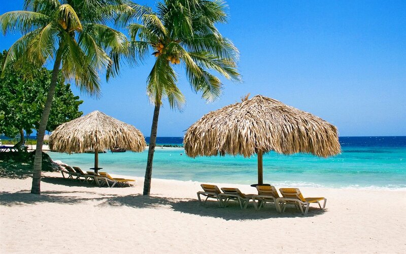 Tropical Beach Scene — Blue, Serene, Afternoon, Photograph, Palm Trees, Thatched Umbrellas