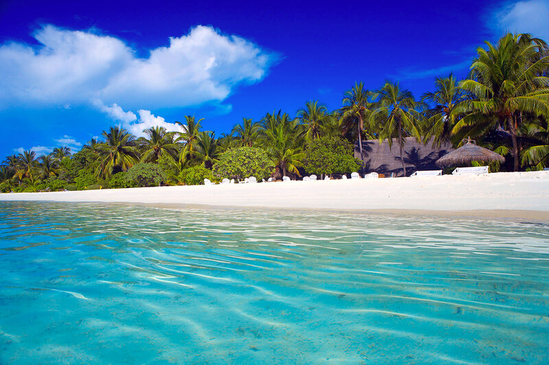 Tropical Beach Scene — Blue, Serene, Afternoon, Photograph, Palm Trees, White Sand