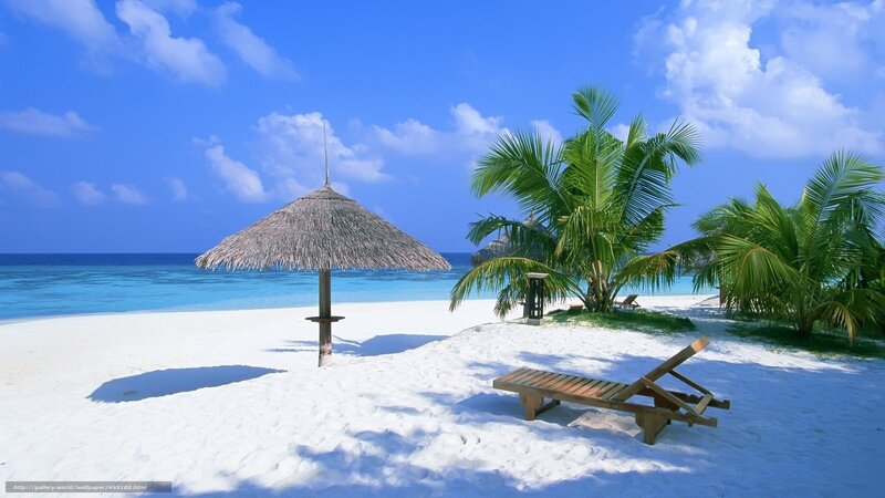 Tropical Beach Scene — Blue, Serene, Afternoon, Photograph, Thatched Umbrella