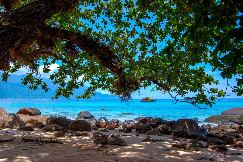 Tropical Beach Scene — Blue, Serene, Afternoon, Photograph, Tree, Boat
