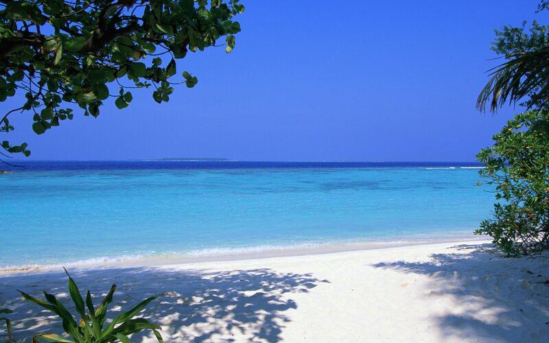 Tropical Beach Scene — Blue, Serene, Afternoon, Photograph, Trees, Sand, Ocean, Sky