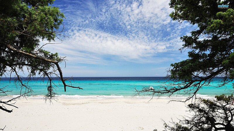 Tropical Beach Scene — Blue, Serene, Afternoon, Photograph, Trees, Sand, Ocean, White