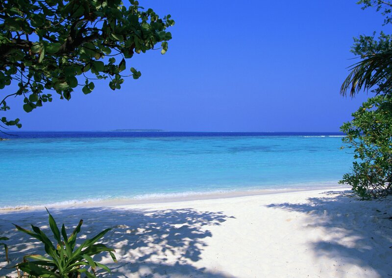Tropical Beach Scene — Blue, Serene, Afternoon, Photograph, Trees, Sand