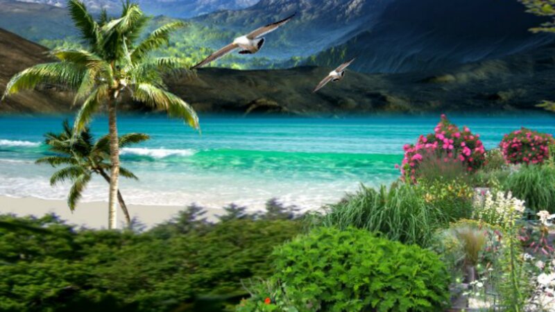 Tropical Beach Scene — Green, Serene, Afternoon, Digital Art, Palm Trees, Birds