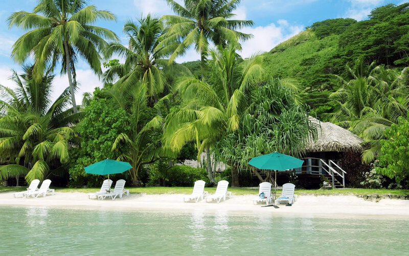 Tropical Beach Scene — Green, Serene, Afternoon, Photograph, Palm Trees
