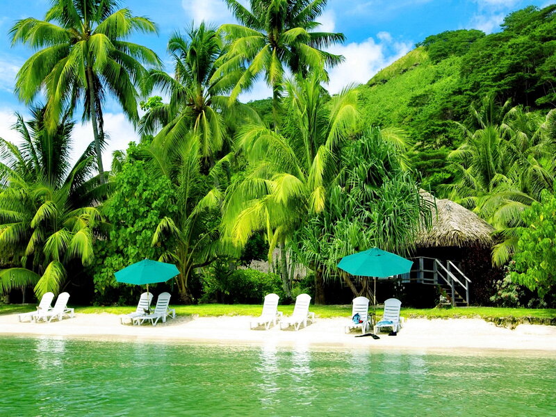 Tropical Beach Scene — Green, Serene, Afternoon